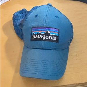 Patagonia trucker hat